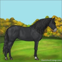 Horse Color:Black  and Black Frame 