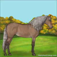 Horse Color:Silver Brown Dun 