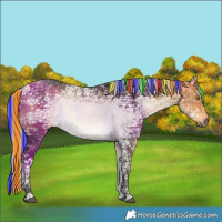 Horse Color:Painted White Spotted Silver Buckskin Ice 