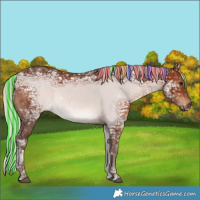 Horse Color:Void Painted White Spotted Silver Brown Ice 