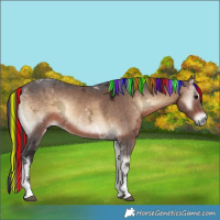 Horse Color:Painted Brown Ice Onyx Tobiano 