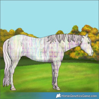 Horse Color:Void Plaid White Spotted Silver Sable Champagne Ice