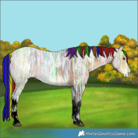 Horse Color:Void Painted White Spotted Buckskin Ice Rabicano 