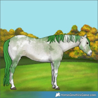 Horse Color:Watercolor Brown Ice Onyx Tobiano 