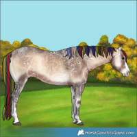 Horse Color:Painted Brown Ice Onyx Splash Tobiano 