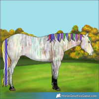 Horse Color:Void Painted Silver Buckskin Ice Tobiano 