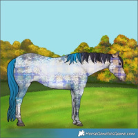 Horse Color:Plaid  White Spotted Brown Ice 