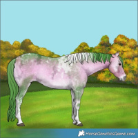Horse Color:Watercolor Buckskin Ice Onyx Tobiano 