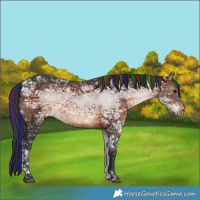 Horse Color:Void Painted White Spotted Brown Ice 