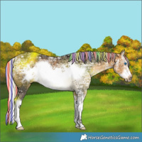 Horse Color:Painted White Spotted Silver Buckskin Ice Splash Frame Rabicano 