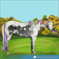 Horse Color:Void Painted White Spotted Silver Sable Champagne Ice Frame 