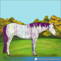 Horse Color:Plaid  Brown Ice Tobiano 