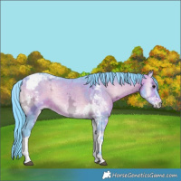 Horse Color:Watercolor Brown Ice Onyx Tobiano 