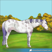 Horse Color:Watercolor Brown Ice Onyx Splash Tobiano 