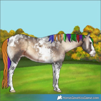 Horse Color:Painted Brown Ice Onyx Splash Tobiano 