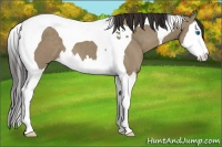 Horse Color:Smoky Grullo Splash Tobiano 