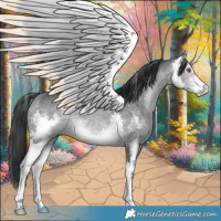 Horse Color:Bay Chinchilla Sabino 