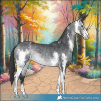 Horse Color:Bay Chinchilla Sabino 