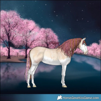 Horse Color:Painted Red Onyx Roan Splash Rabicano 
