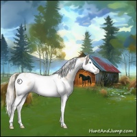 Horse Color:Perlino Splash Tobiano 
