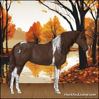 Horse Color:Liver Chestnut Tobiano 