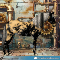 Horse Color:Void White Spotted Palomino Splash Frame 