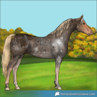 Horse Color:Void Red Roan 