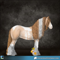 Horse Color:Bay Pearl Sabino Tobiano Rabicano 