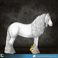 Horse Color:Silver Bay Pearl Sabino Rabicano 