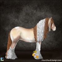 Horse Color:Red Onyx Pearl Tobiano Rabicano