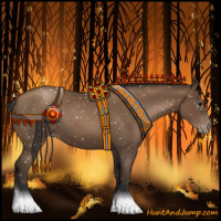 Horse Color:Gray Black Pearl Appaloosa 