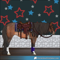 Horse Color:Brown Rabicano 