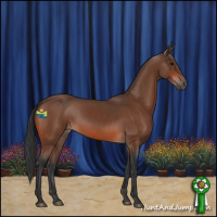 Horse Color:Bay Sabino
