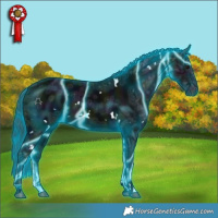 Horse Color:Thunderstruck White Spotted Midnight Black Ice 