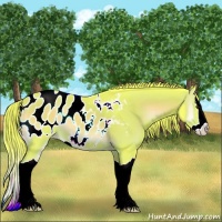 Horse Color:Watercolor Liver Red Onyx Splash Appaloosa