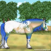 Horse Color:Watercolor Brown Onyx Splash Appaloosa 
