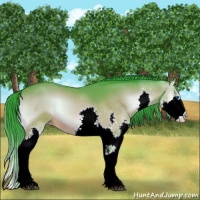 Horse Color:Watercolor Brown Onyx Splash 