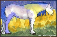 Horse Color:Watercolor Brown Roan Onyx Splash Appaloosa 