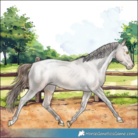 Horse Color:Amber Champagne Snowcap 