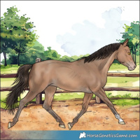 Horse Color:Amber Champagne 