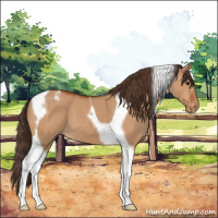 Horse Color:Bay Dun Tobiano Varnish