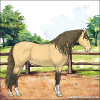 Horse Color:Buckskin Roan Varnish 