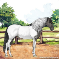 Horse Color:Grullo Tobiano Snowcap 