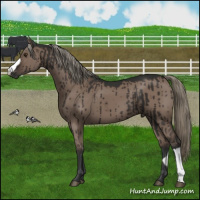 Horse Color:Liver Red Dun Mushroom Brindle 