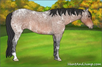 Horse Color:Bay Ice Roan 