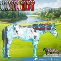 Horse Color:Painted Thunderstruck White Spotted Blue Onyx Chinchilla Ice Sabino  and Painted Thunderstruck White Spotted Black Chinchilla Ice Frame 