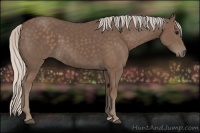 Horse Color:Silver Black 