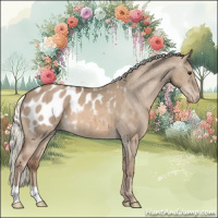 Horse Color:Red Dun Mushroom Appaloosa Brindle 