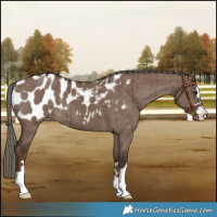 Horse Color:Liver Red Dun Mushroom Varnish Brindle 