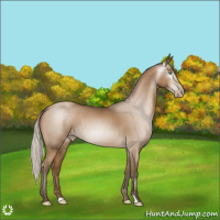 Horse Color:Gray Silver Smoky Black Pearl Appaloosa 